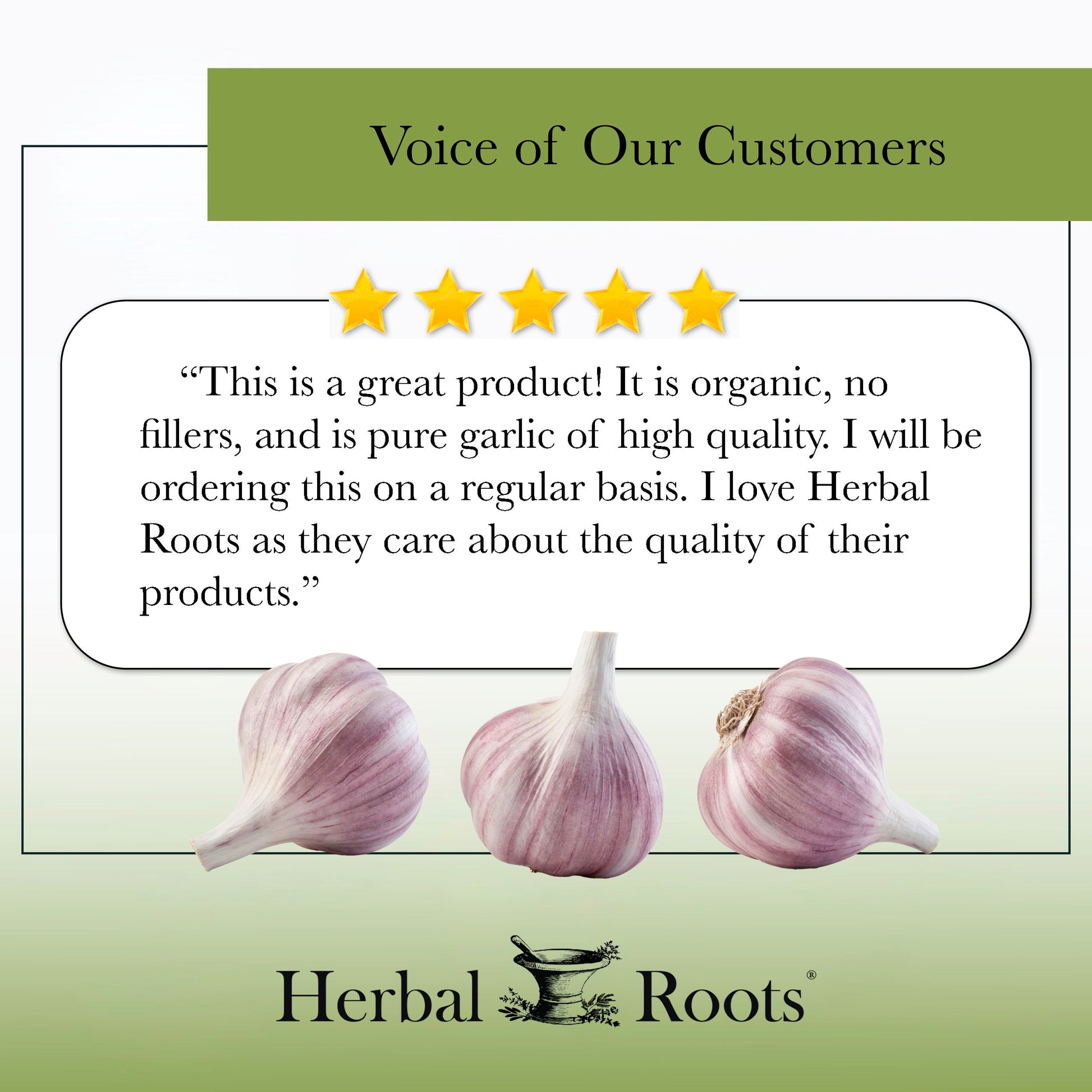 Organic Whole Bulb Garlic - Trending Wellness Store