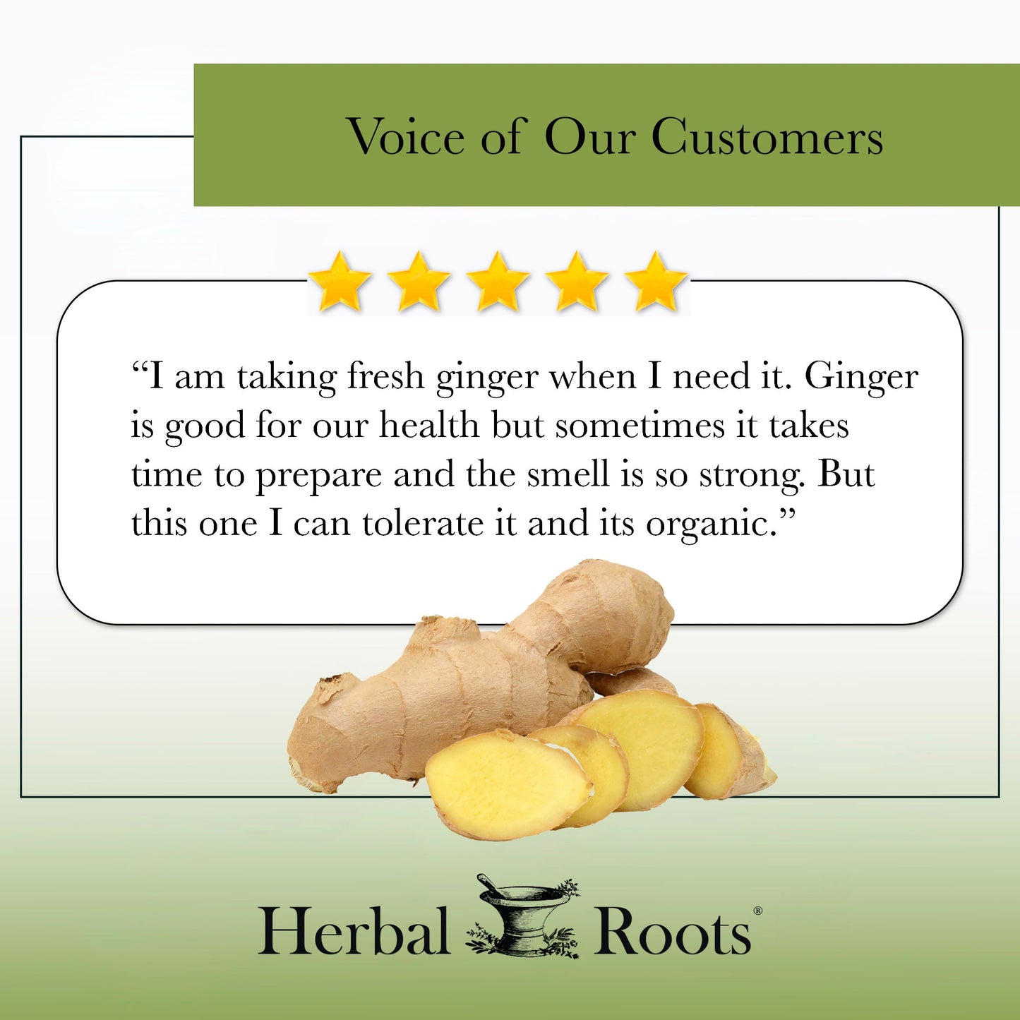 Organic Ginger - Trending Wellness Store