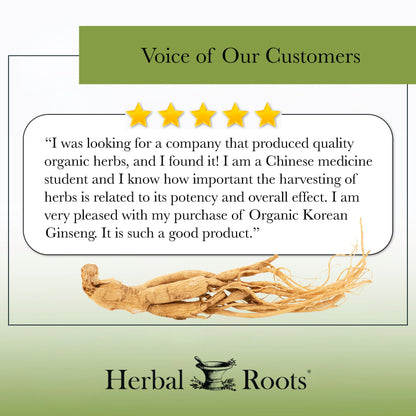 Korean Ginseng - Trending Wellness Store