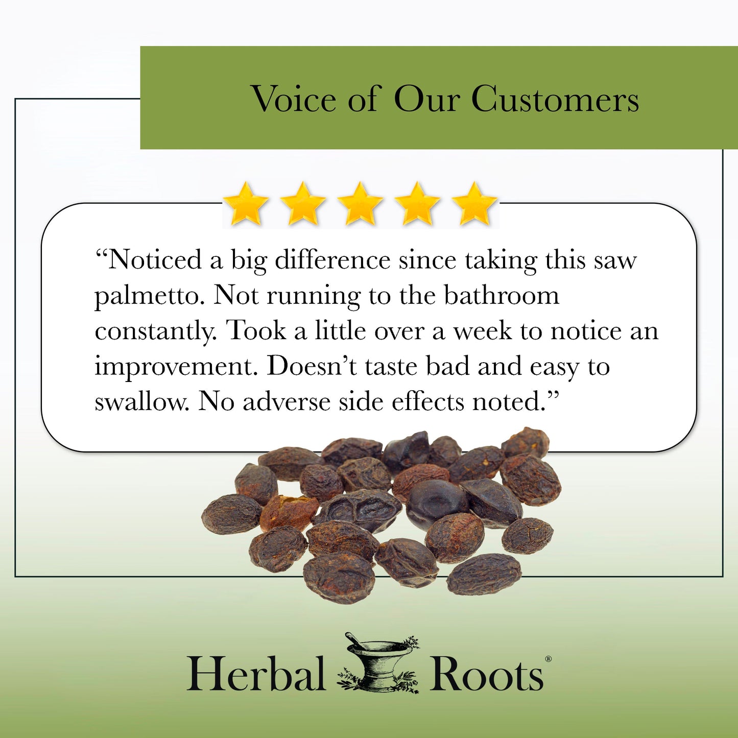 Organic Saw Palmetto - Trending Wellness Store