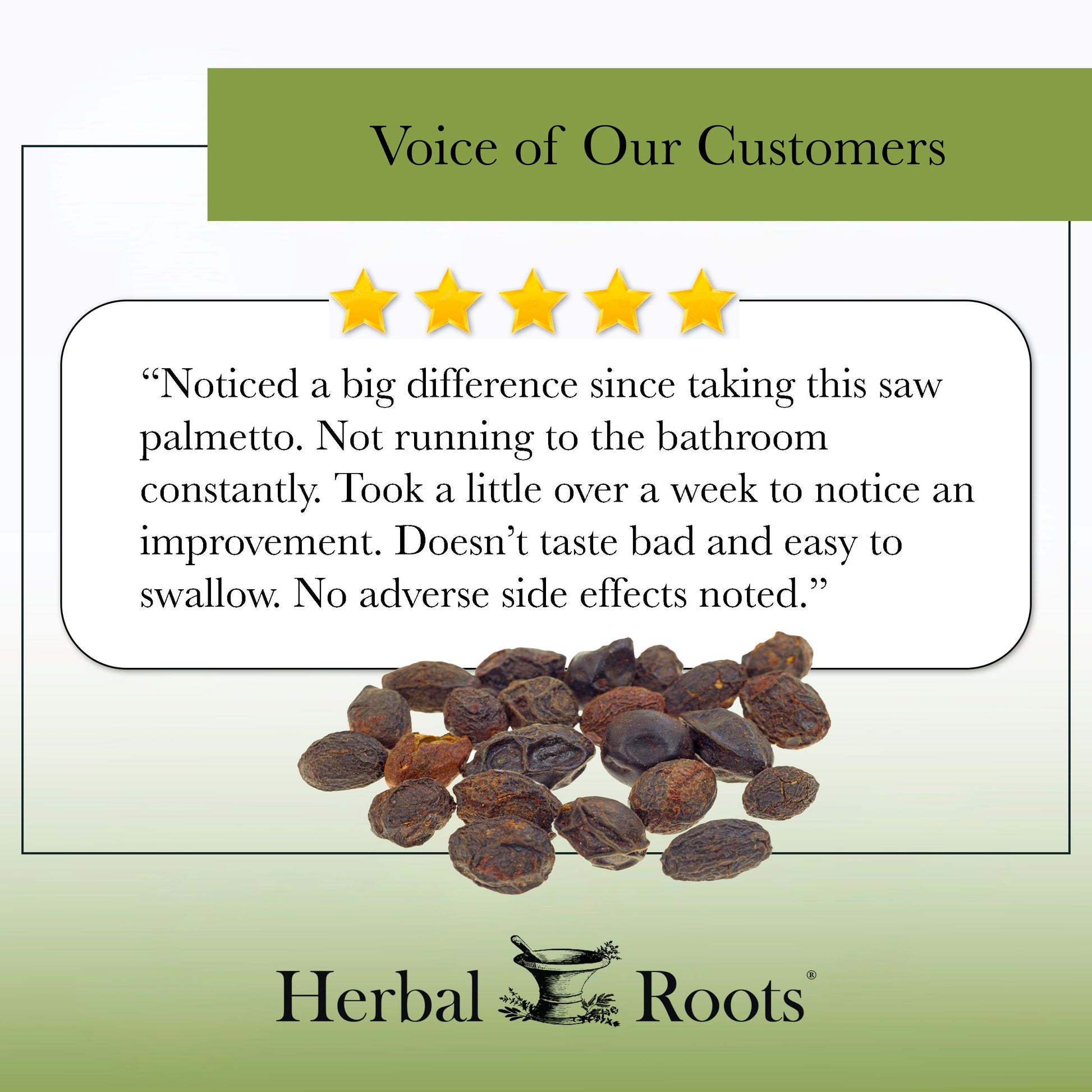 Organic Saw Palmetto - Trending Wellness Store