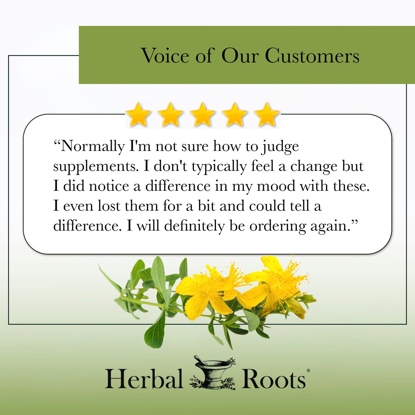 St. John's Wort - Trending Wellness Store