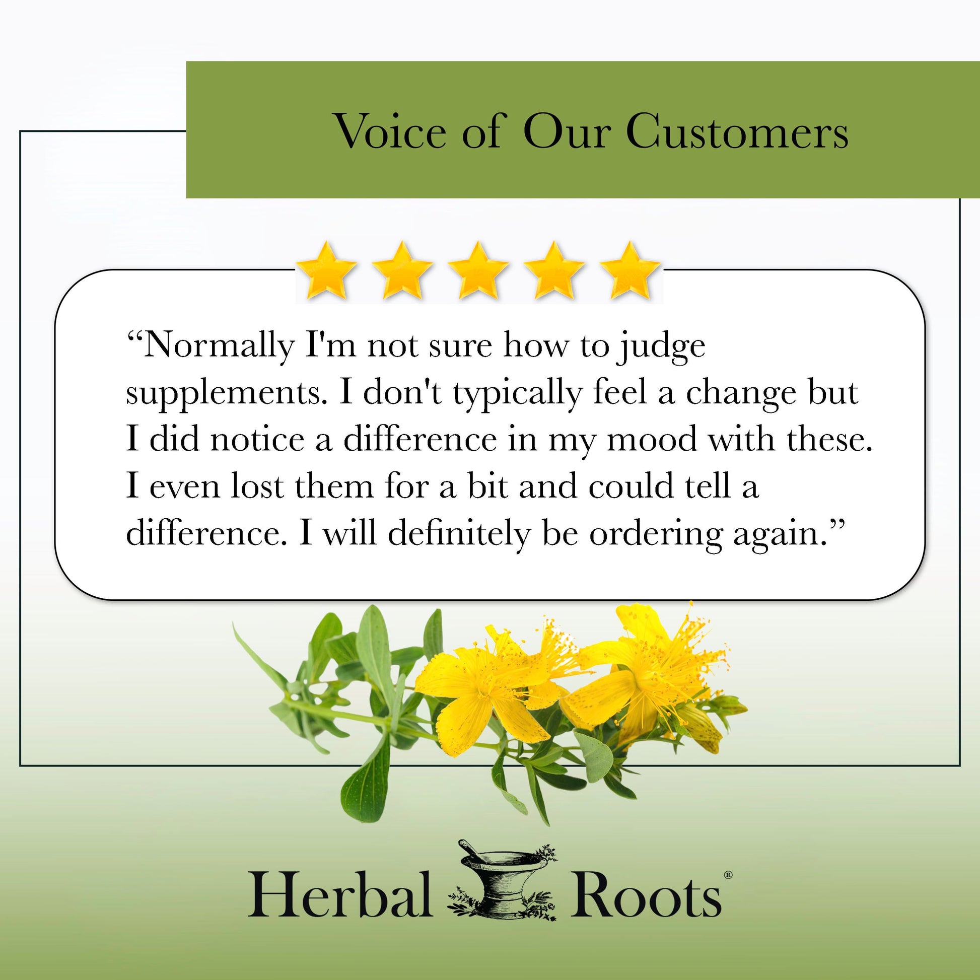 St. John's Wort - Trending Wellness Store