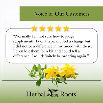 St. John's Wort - Trending Wellness Store