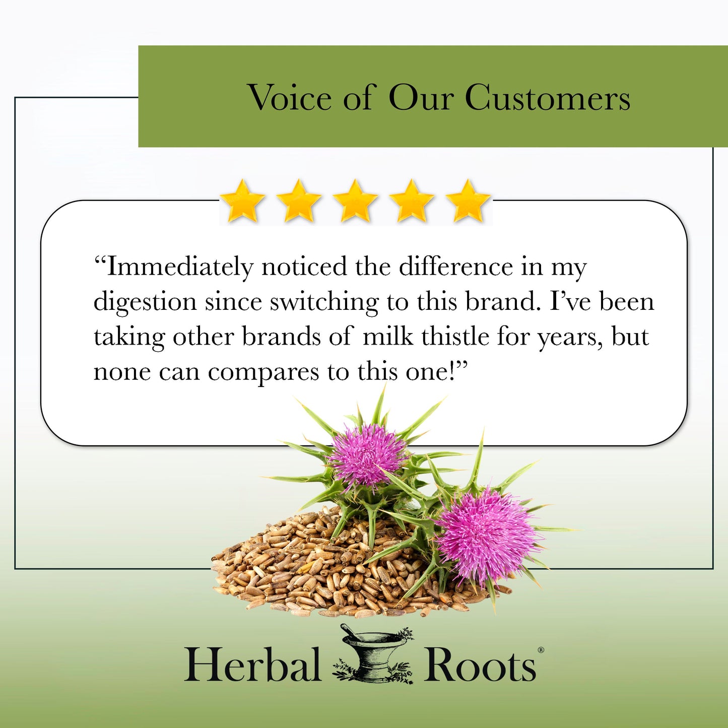 Milk Thistle - Trending Wellness Store