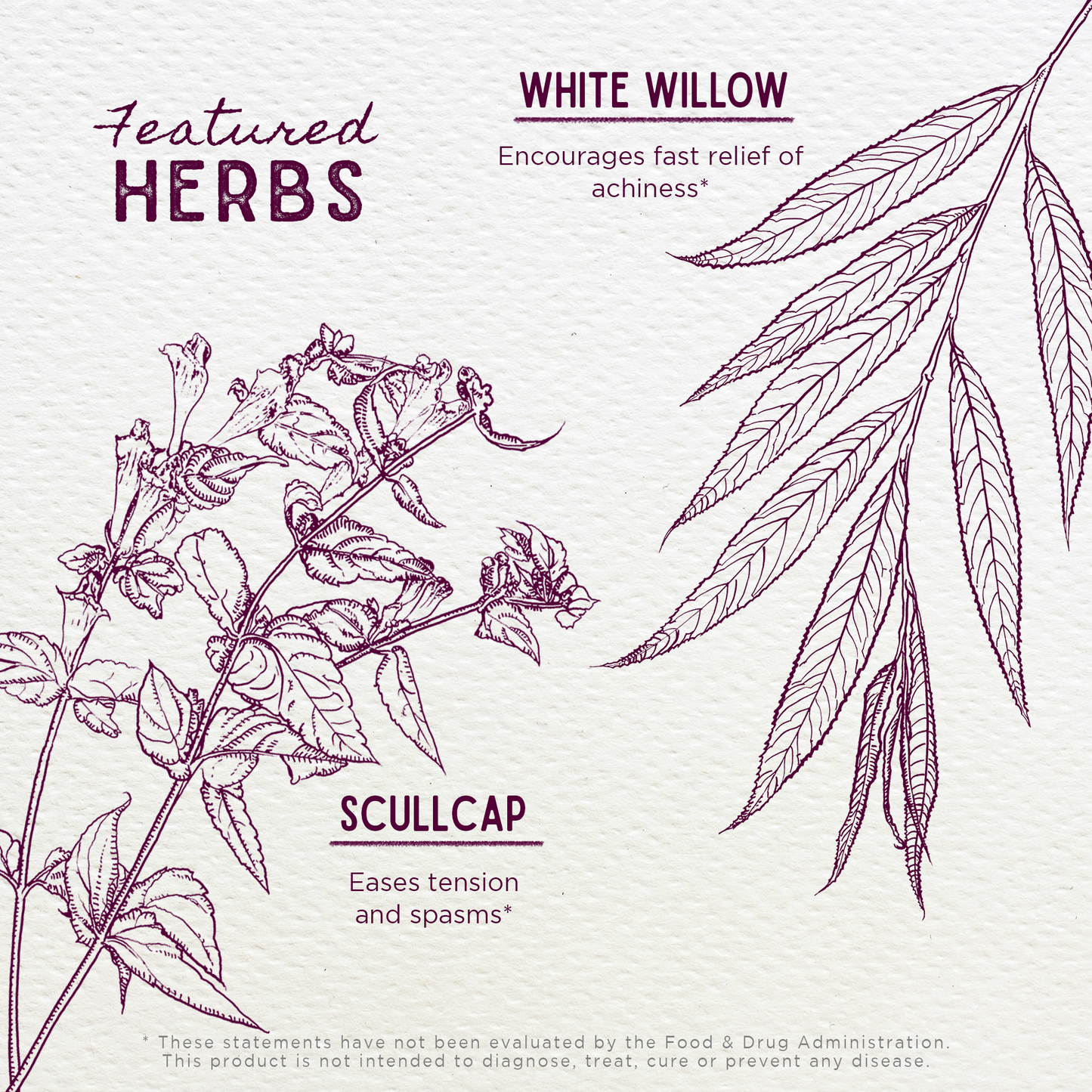 Cranial Comfort Tension Release - Trending Wellness Store