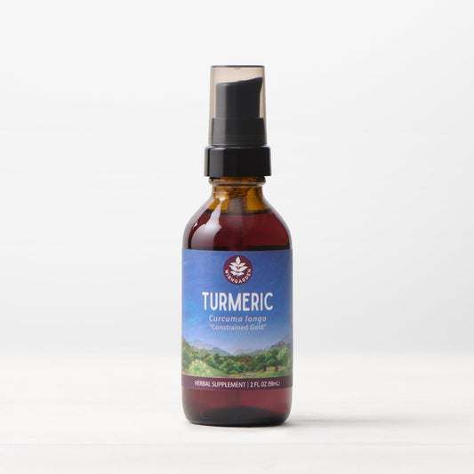 Turmeric - Trending Wellness Store