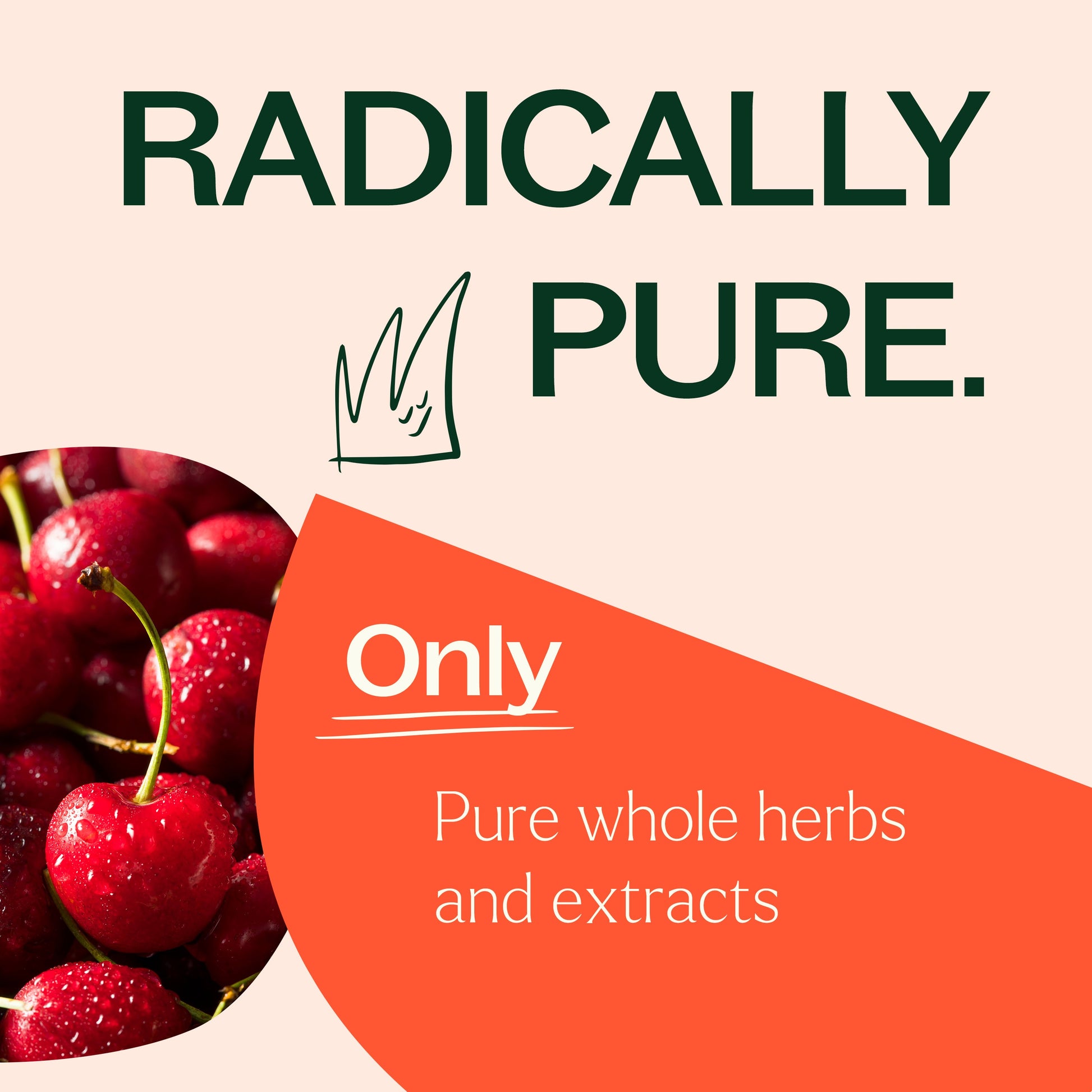 Tart Cherry with Elderberry Herbal Supplement - 120 Capsules - Trending Wellness Store