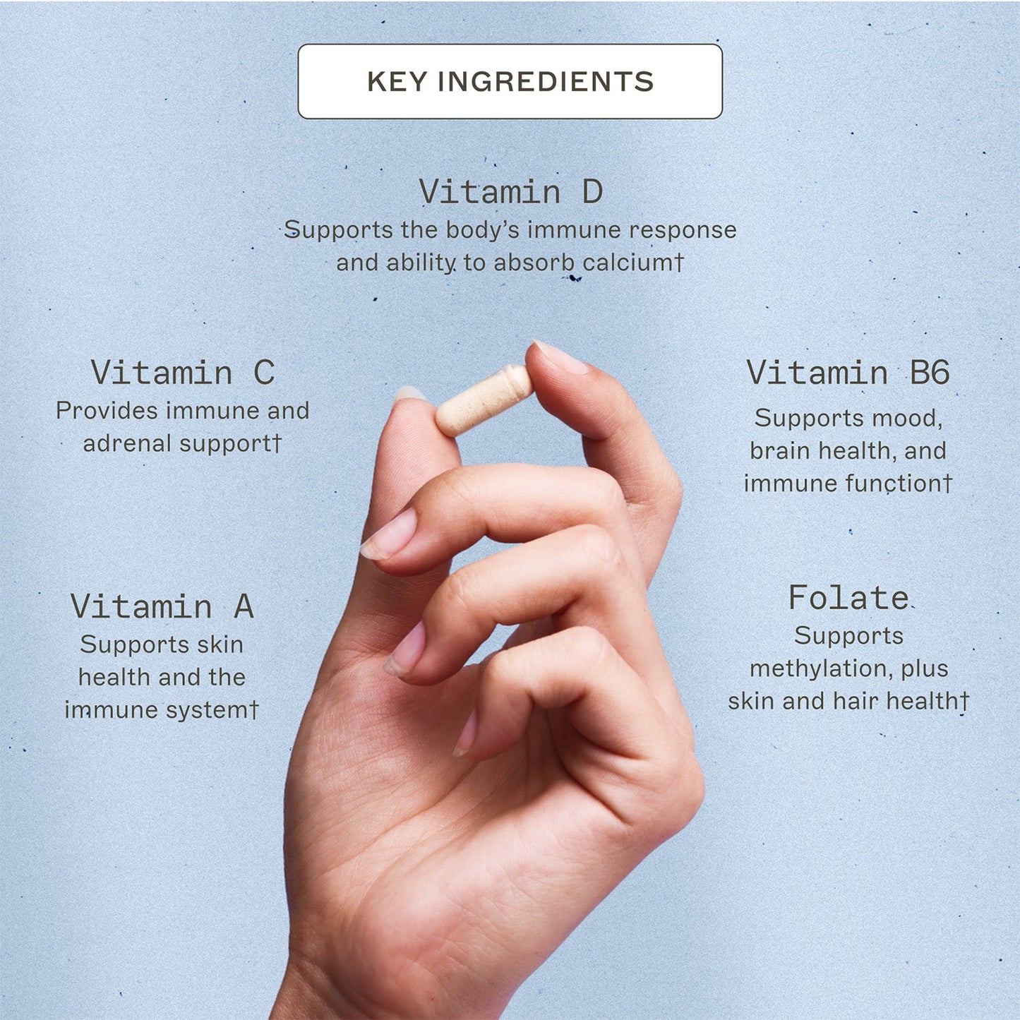 The Myers Way® Multivitamin - Trending Wellness Store