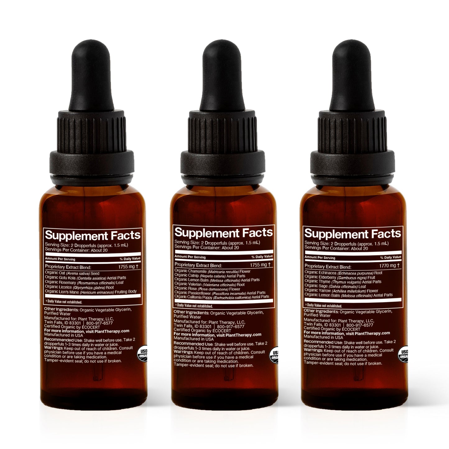 Total Wellness Trio Set - Trending Wellness Store