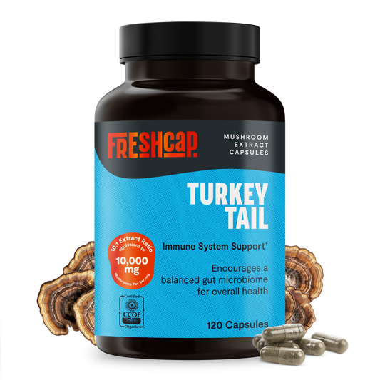 Turkey Tail Mushroom Extract Capsules - Trending Wellness Store