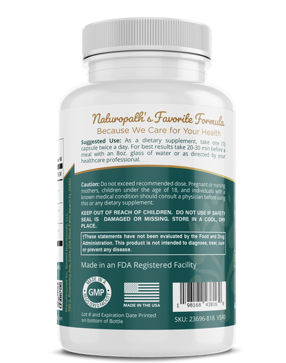 Turmeric - The Golden Treasure - Trending Wellness Store