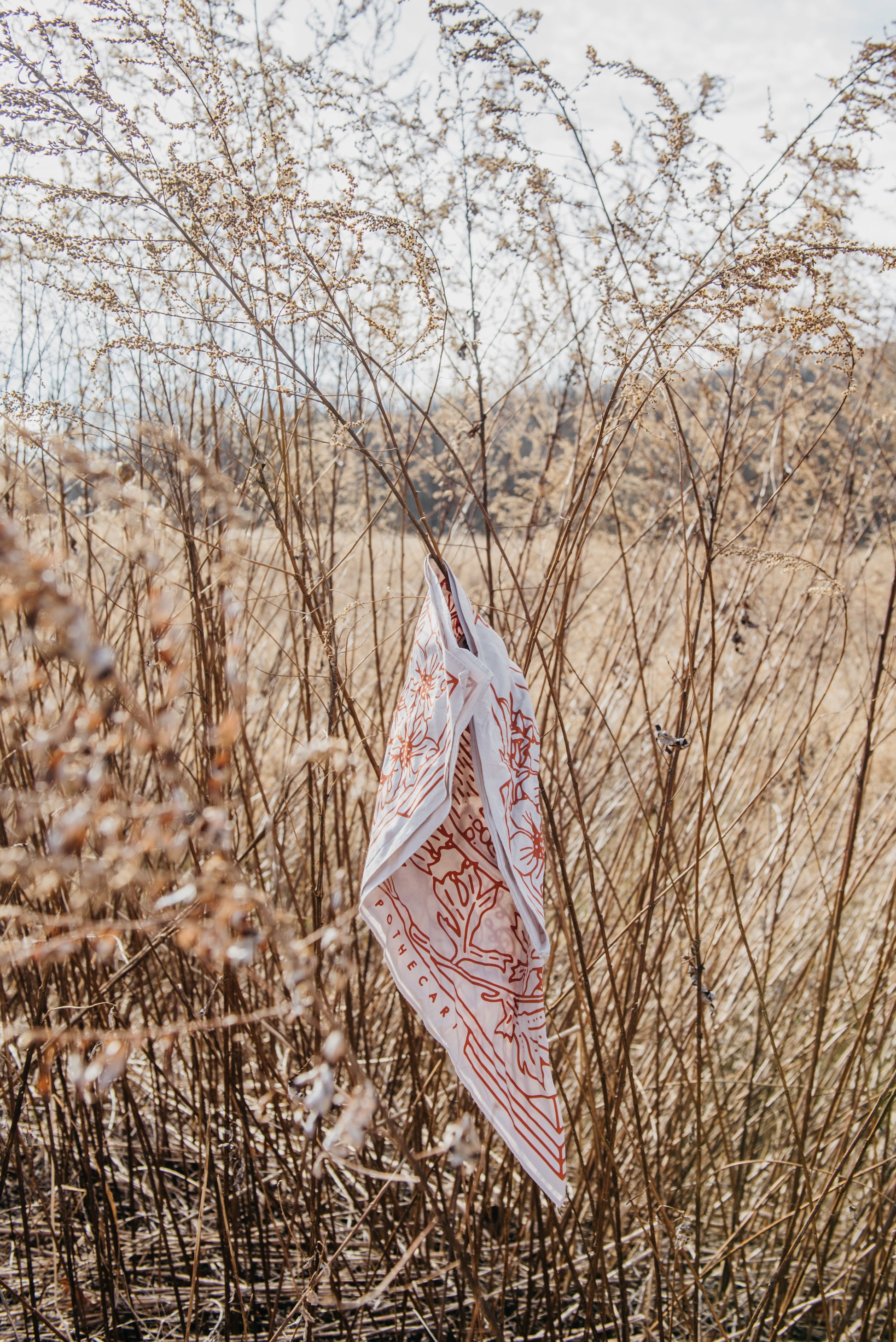 Yuba Bandana - Trending Wellness Store