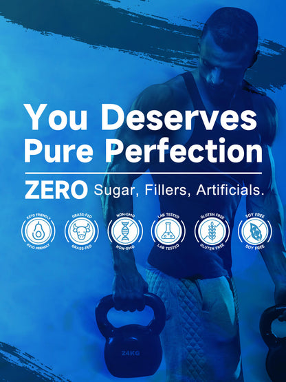 Vanilla Protein Powder, Whey Protein Isolate, 26G Protein/Serving, 1.1LB - Trending Wellness Store