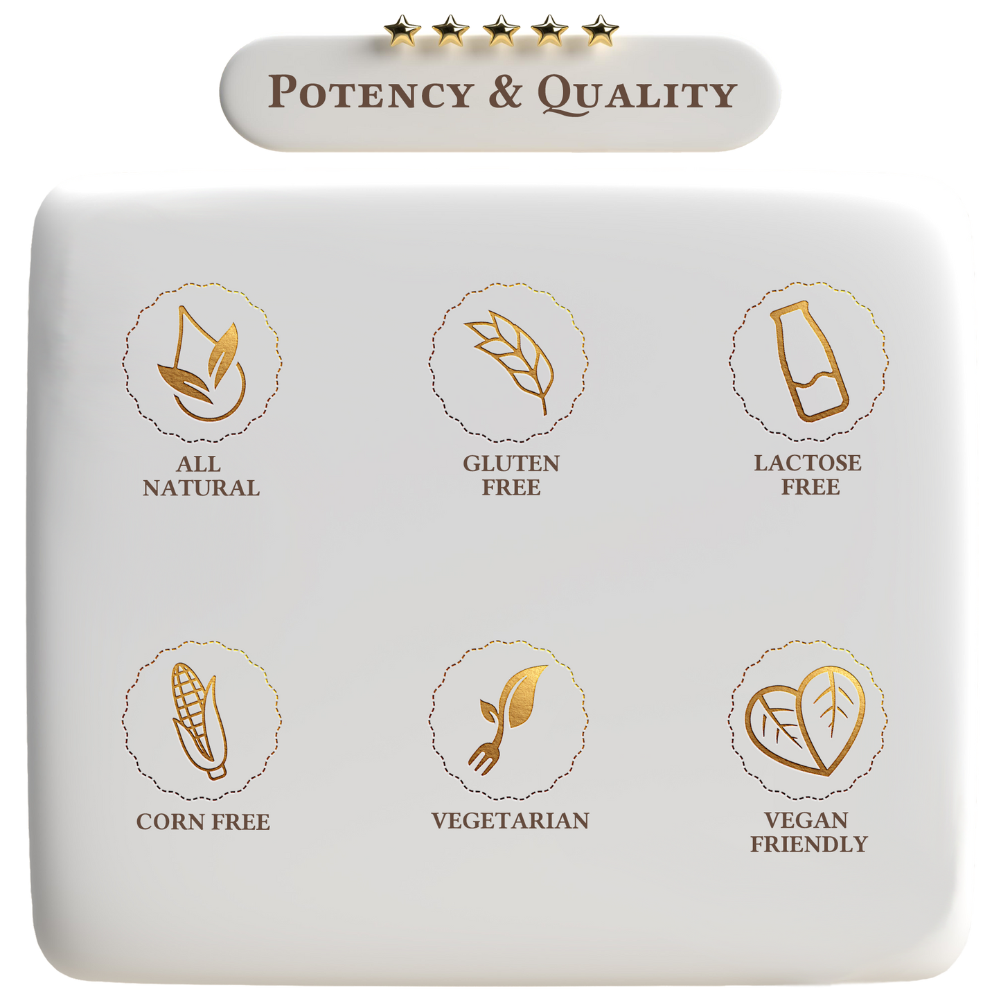 Vegan Protein Vanilla Milkshake - Trending Wellness Store