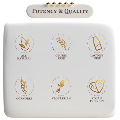 Vegan Protein Vanilla Milkshake - Trending Wellness Store