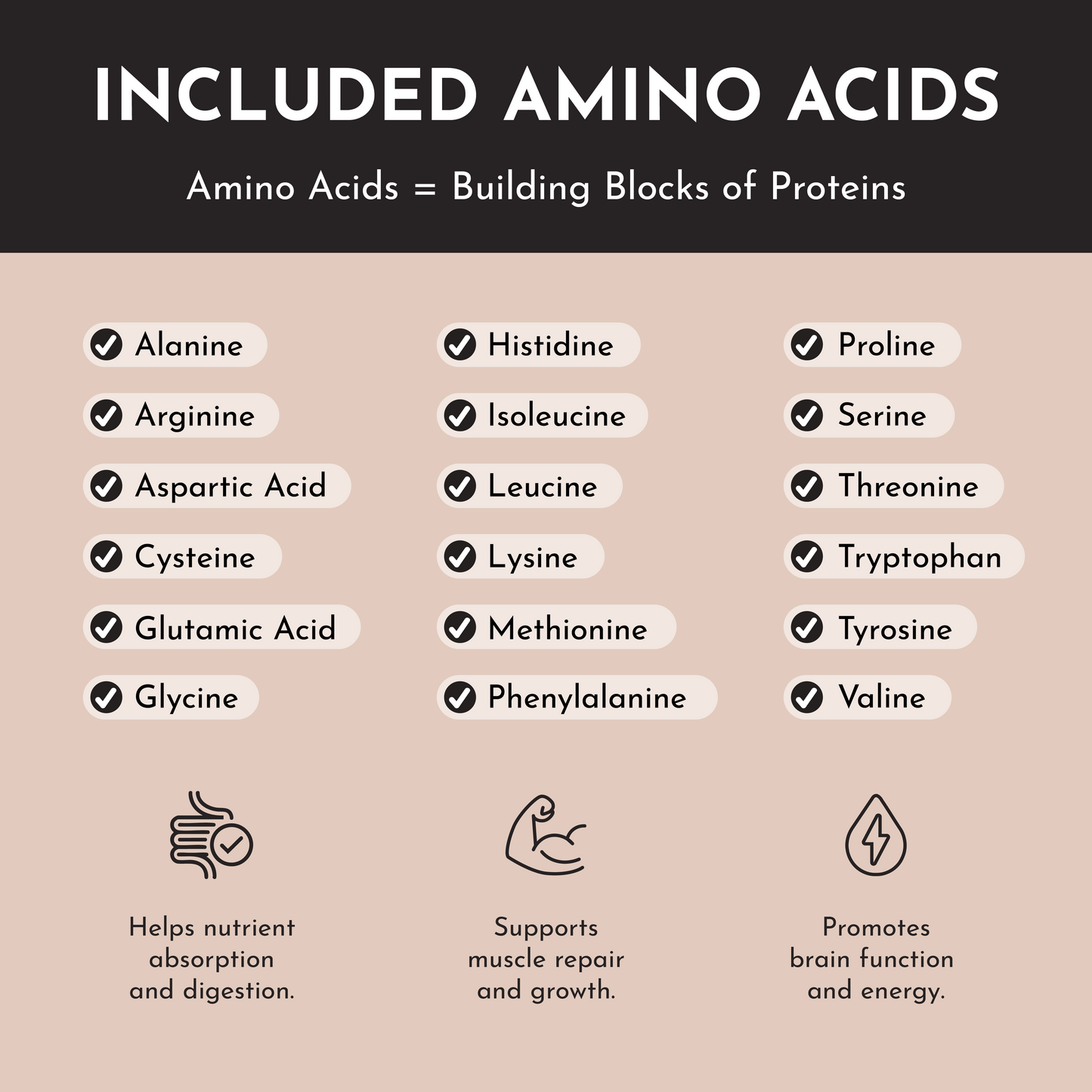 Vegan Chocolate Protein Powder - Trending Wellness Store