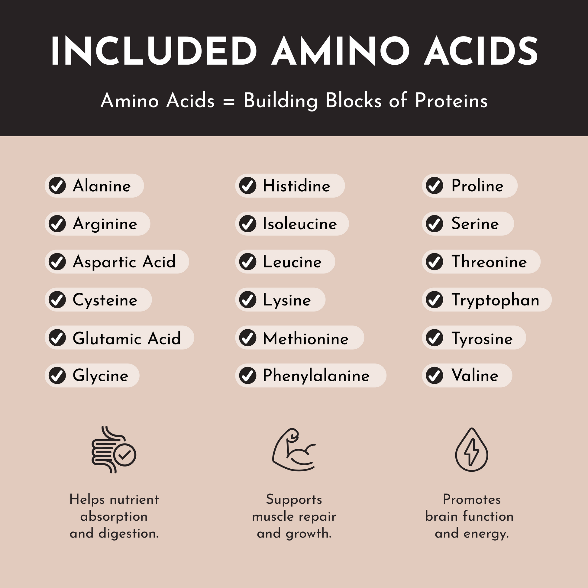 Vegan Chocolate Protein Powder - Trending Wellness Store
