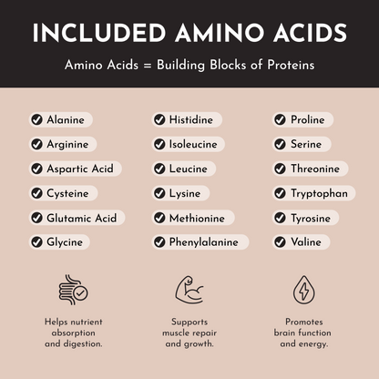 Vegan Chocolate Protein Powder - Trending Wellness Store
