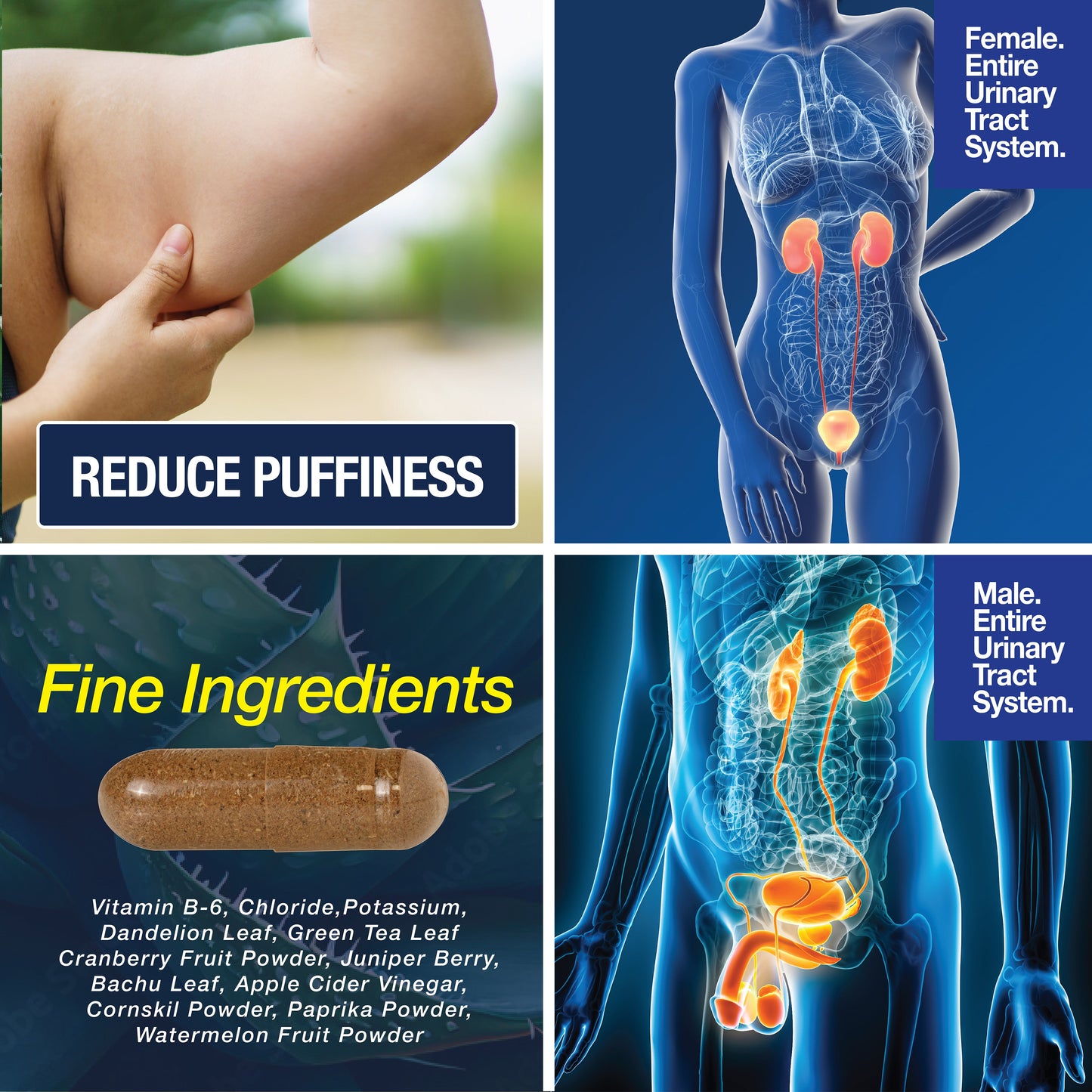 Water Away - Water Retention and Flushing, Aids in Water Relief & Water Loss - Trending Wellness Store