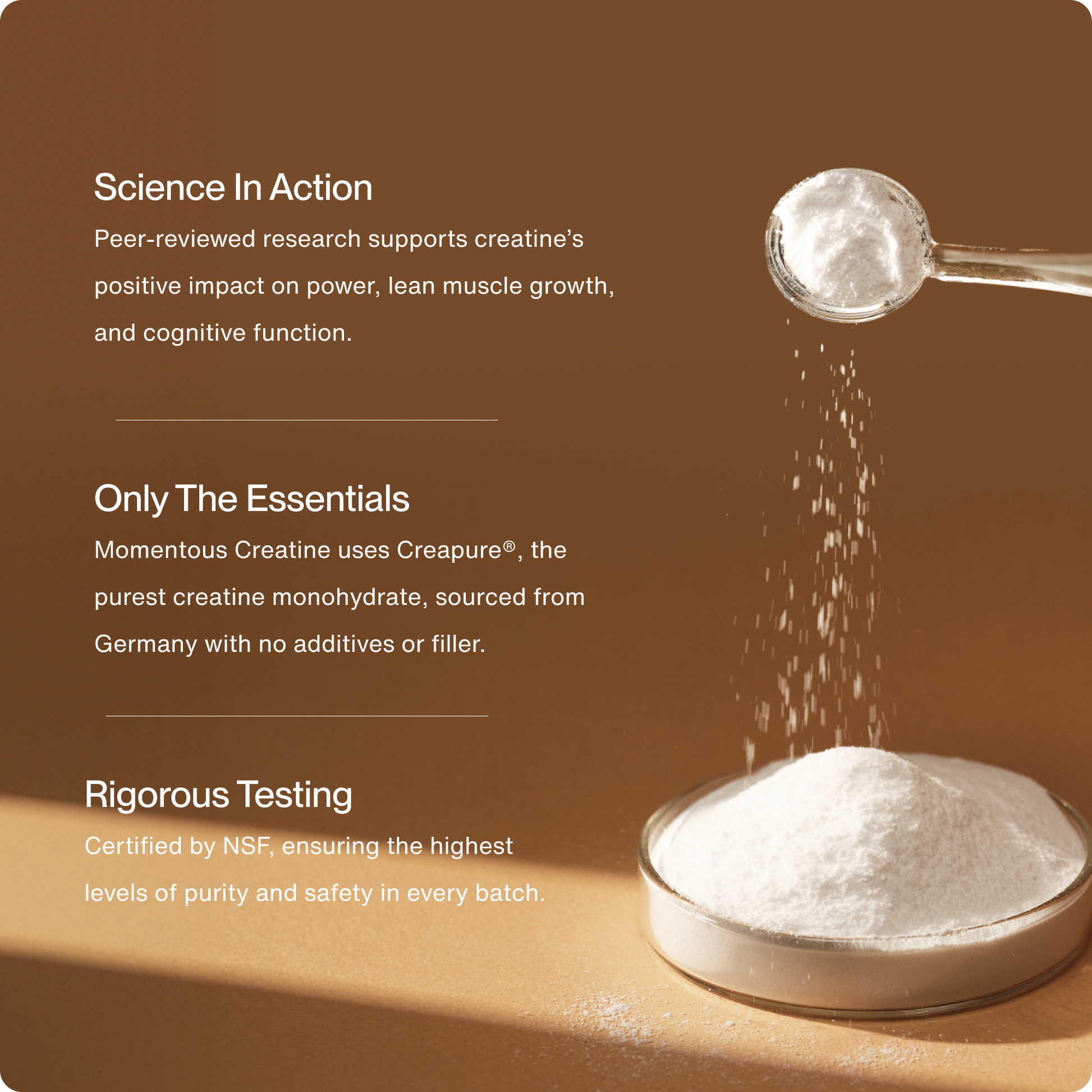 Creatine - Trending Wellness Store