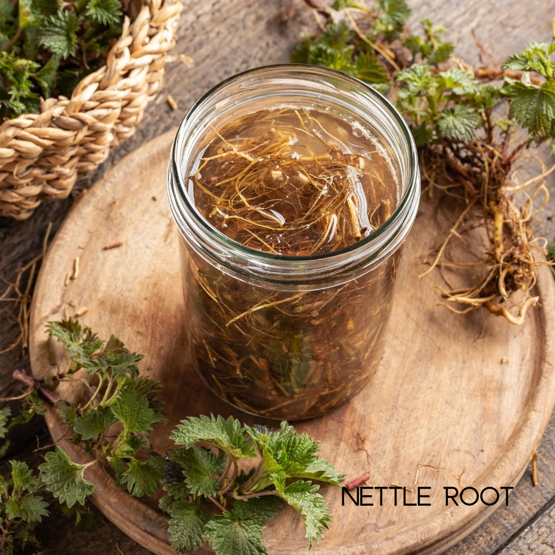 Trending Wellness Store