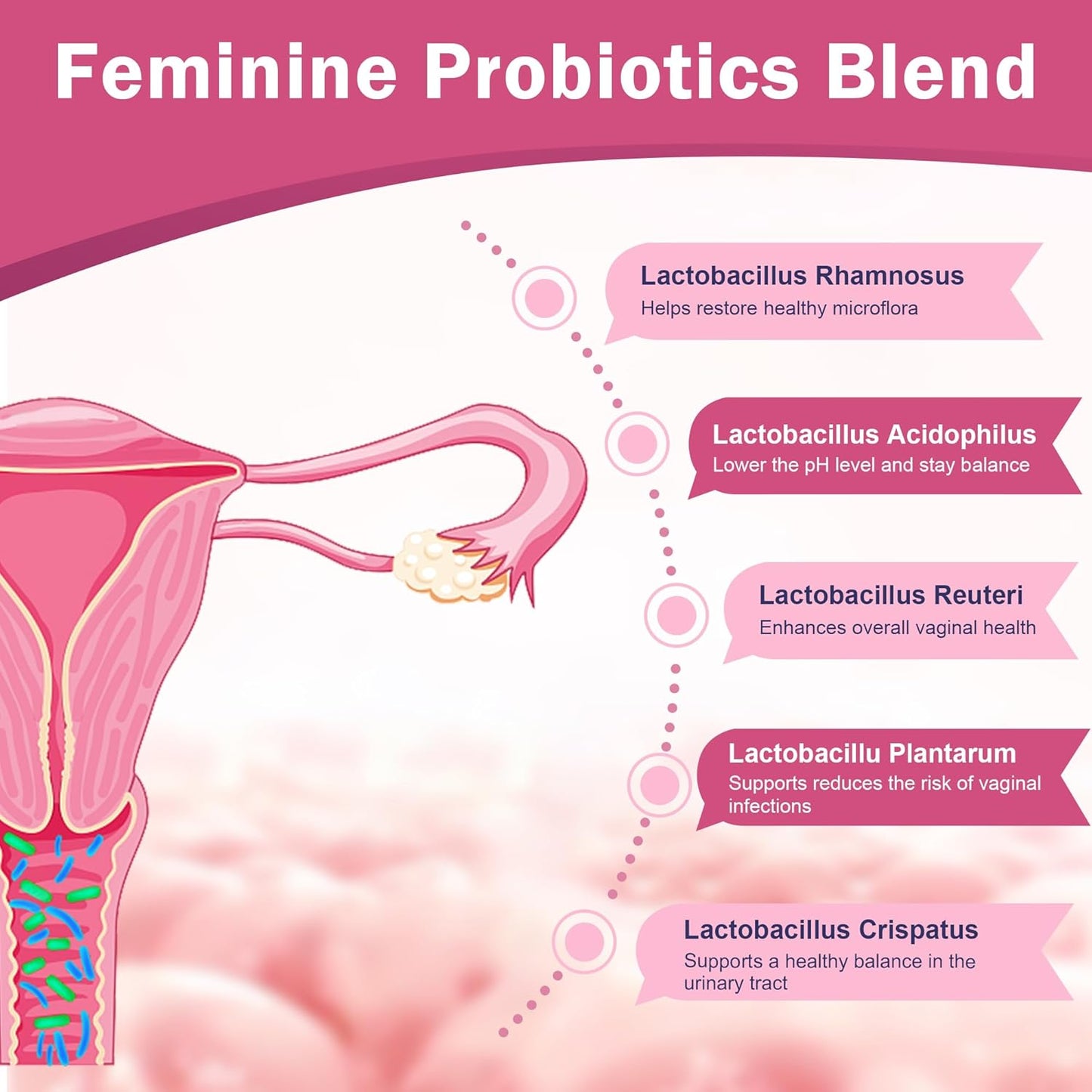 Women’s Vaginal Probiotics, 100 Billion CFUs - Trending Wellness Store