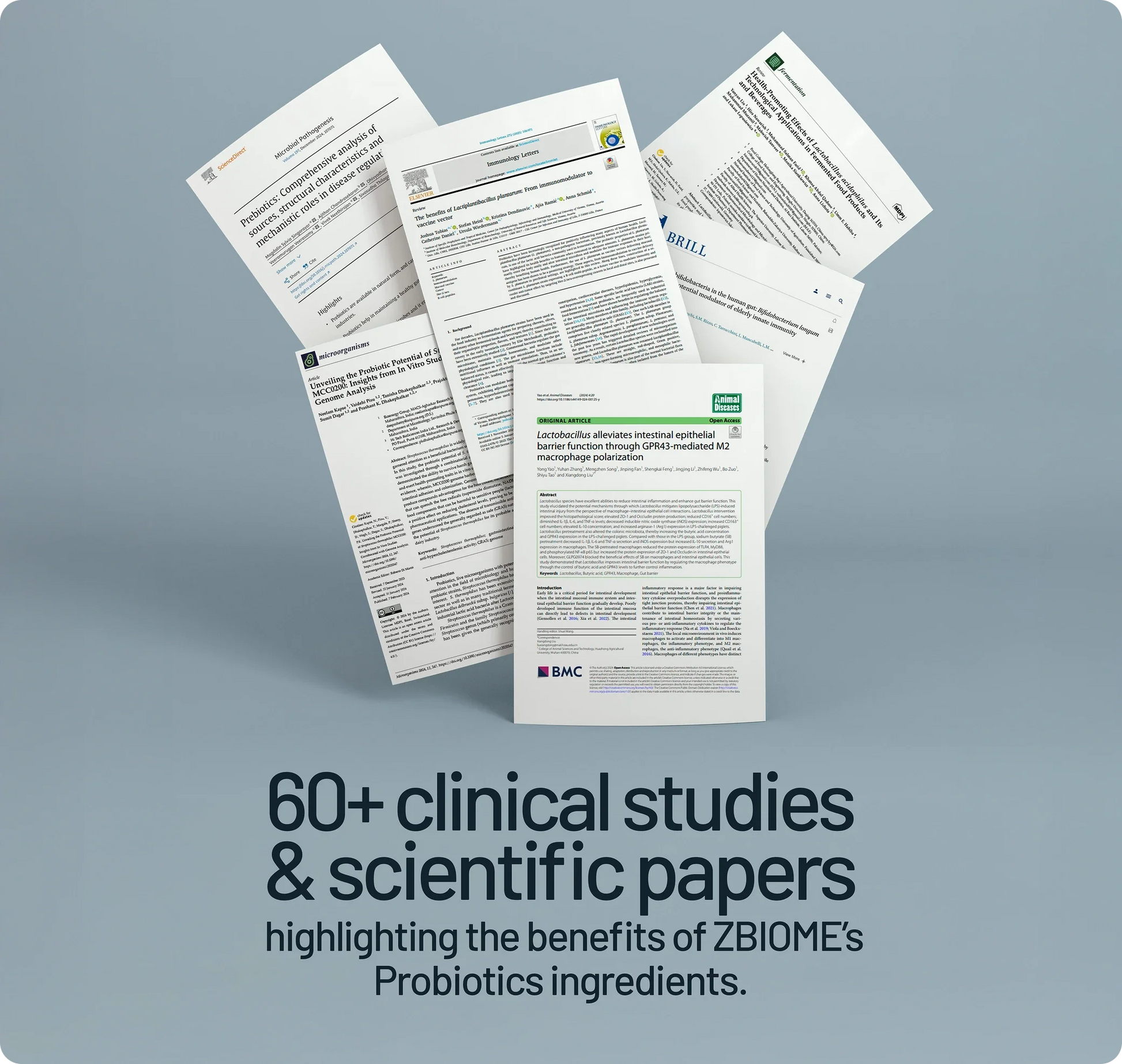 Trending Wellness Store