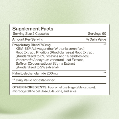 ZenAdapt - Trending Wellness Store