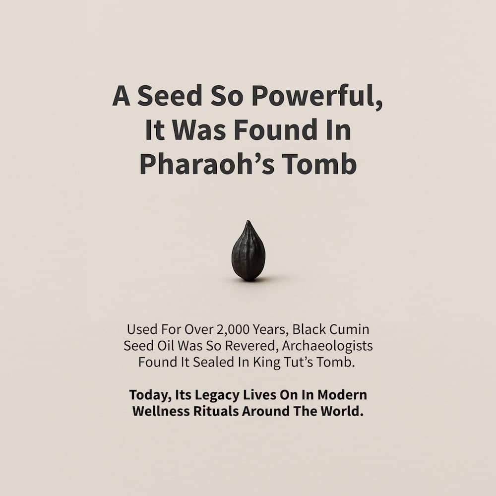 Black Seed Oil - Trending Wellness Store