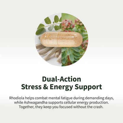 Energy & Metabolism - Buy 2 Get 1 Free - Trending Wellness Store