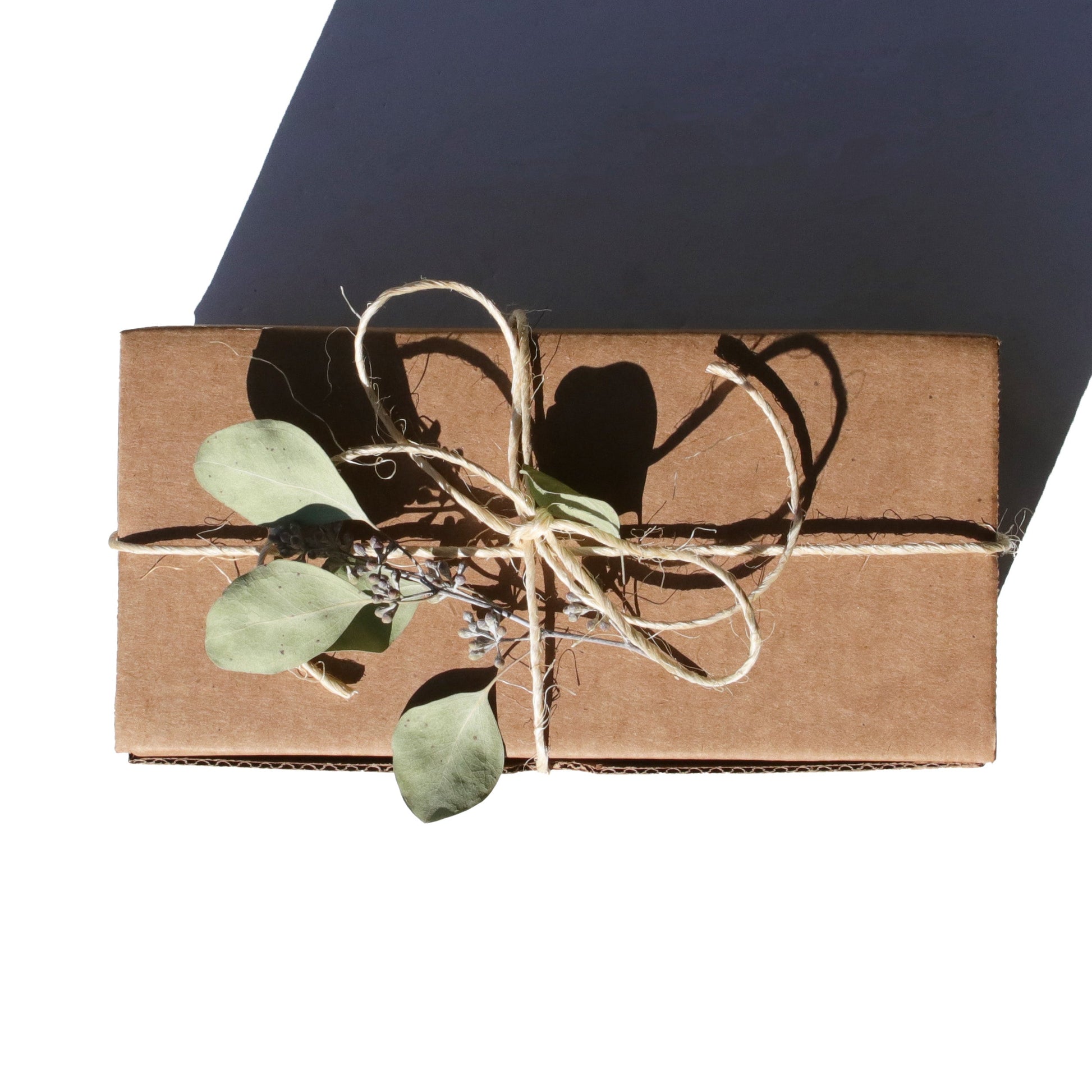 Complete Mask Gift Set - Trending Wellness Store