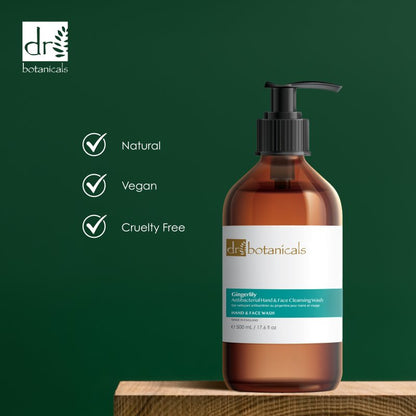 Gingerlily Antibacterial Hand & Face Cleansing Wash 500ml - Trending Wellness Store