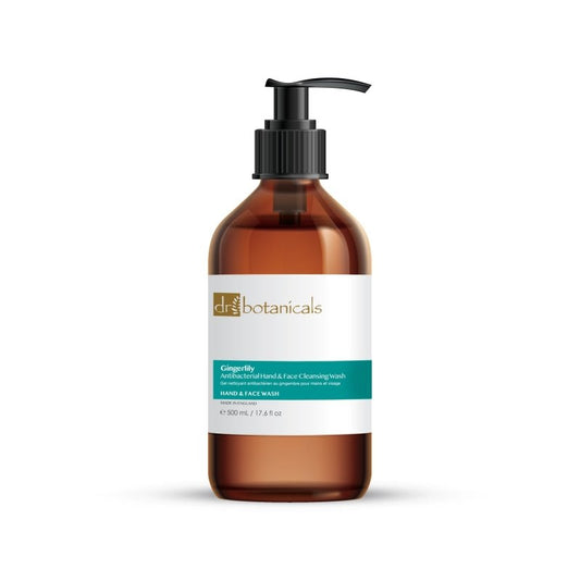 Gingerlily Antibacterial Hand & Face Cleansing Wash 500ml - Trending Wellness Store