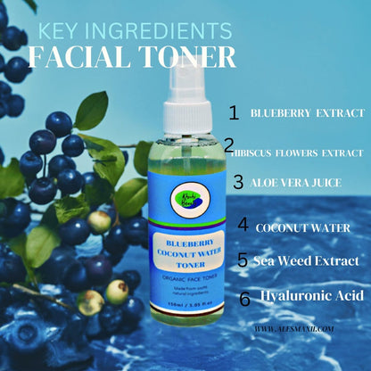 Khichi Beauty Blueberry Coconut Water Facial Toner, Soothes and hydrates - Trending Wellness Store