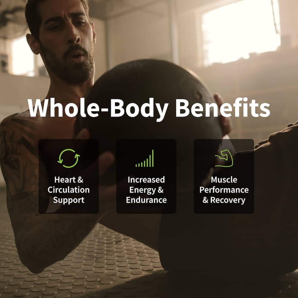 L-Arginine - Buy 2 Get 1 Free - Trending Wellness Store