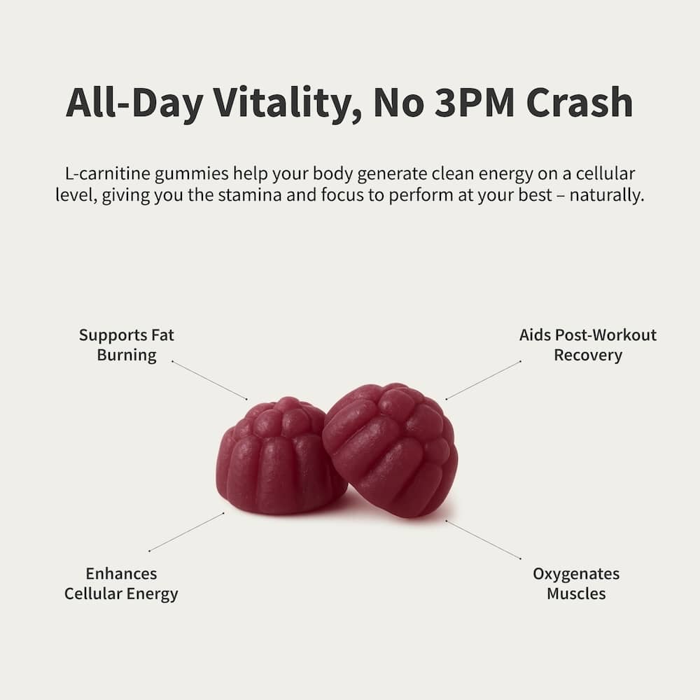L-Carnitine Sugar-Free Blueberry Gummies - Trending Wellness Store
