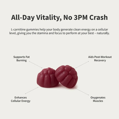 L-Carnitine Sugar-Free Blueberry Gummies - Trending Wellness Store