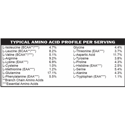 Vegan Protein Vanilla MD PhD Formulated Gut Friendly Low FODMAP - Trending Wellness Store