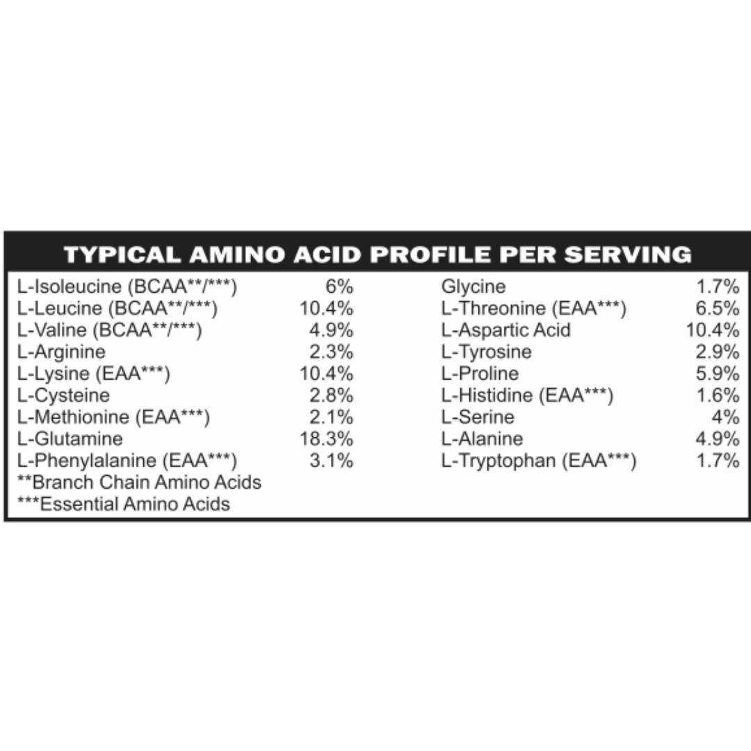 Advanced Whey Protein Chocolate MD PhD Formulated Gut Friendly Low FODMAP - Trending Wellness Store