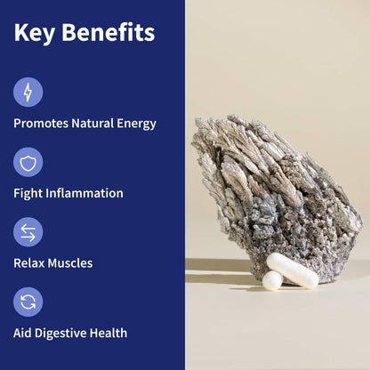 Magnesium Complex - 2 Bottles - Trending Wellness Store