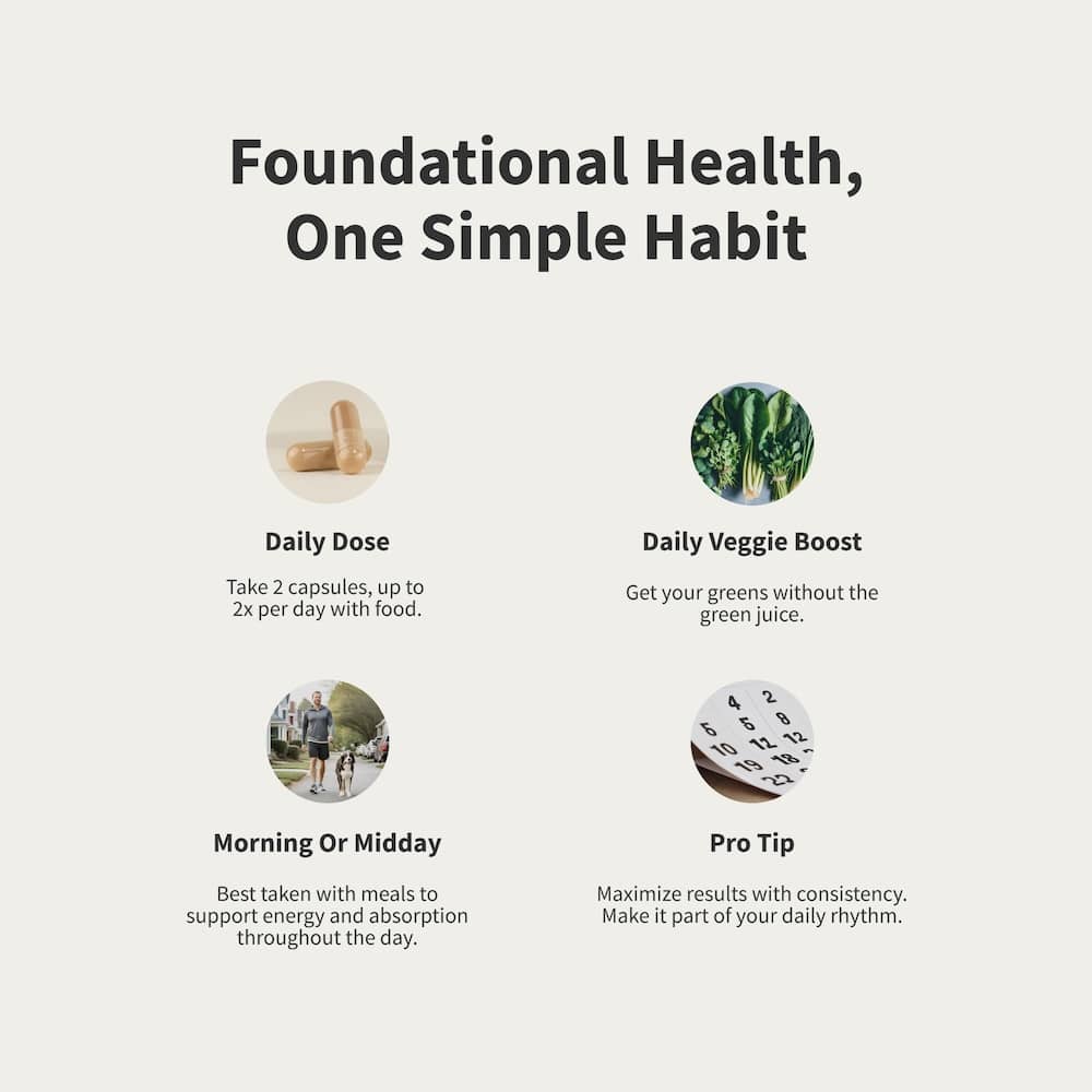 Daily Multivitamin for Men - Trending Wellness Store