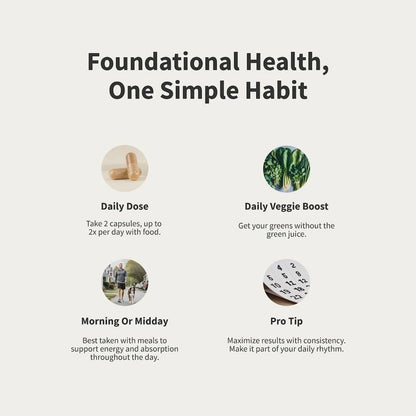 Daily Multivitamin for Men - Trending Wellness Store