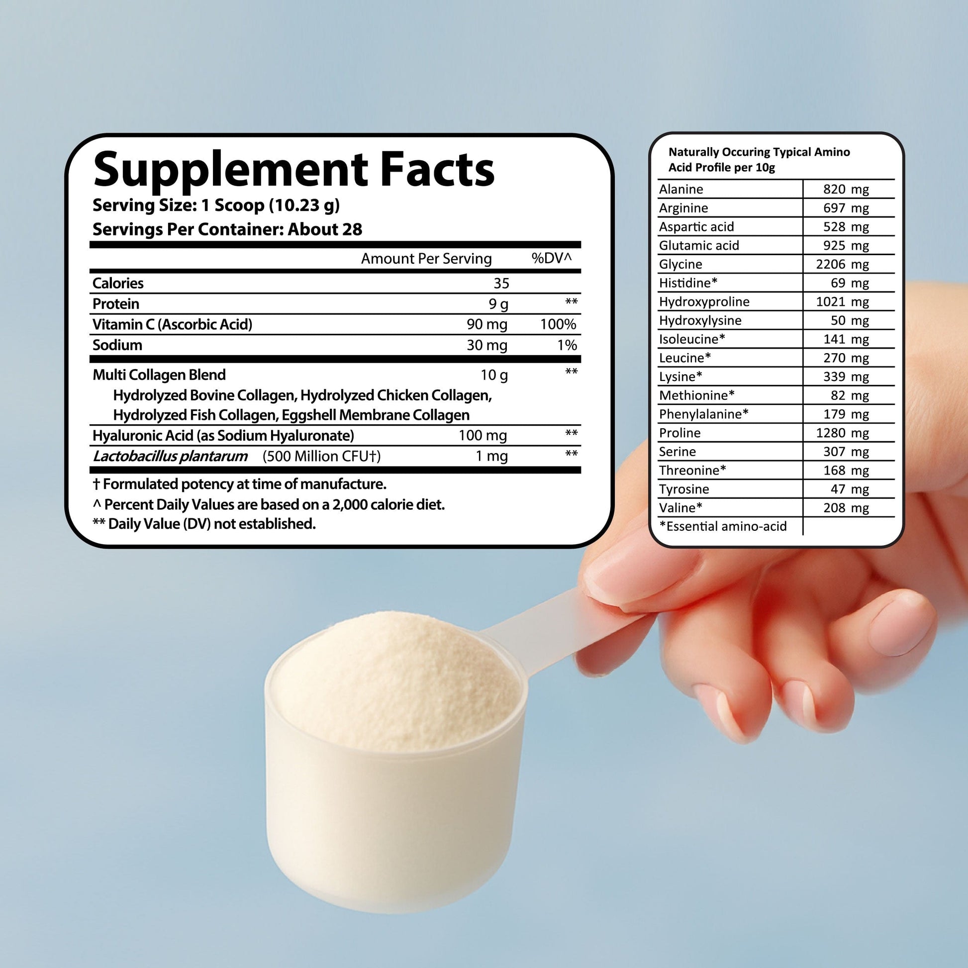 Multi Collagen Complex + - Trending Wellness Store