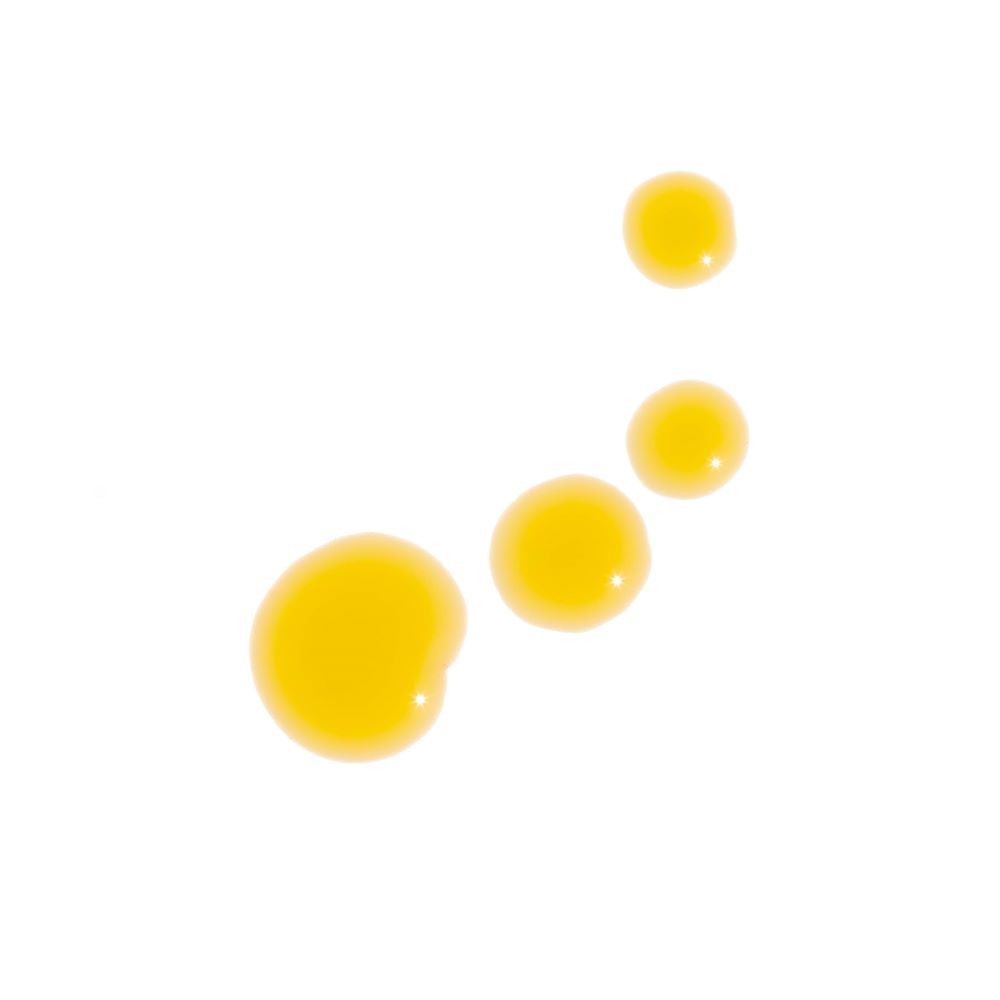 Sun Worshiper Regenerative Serum - Trending Wellness Store