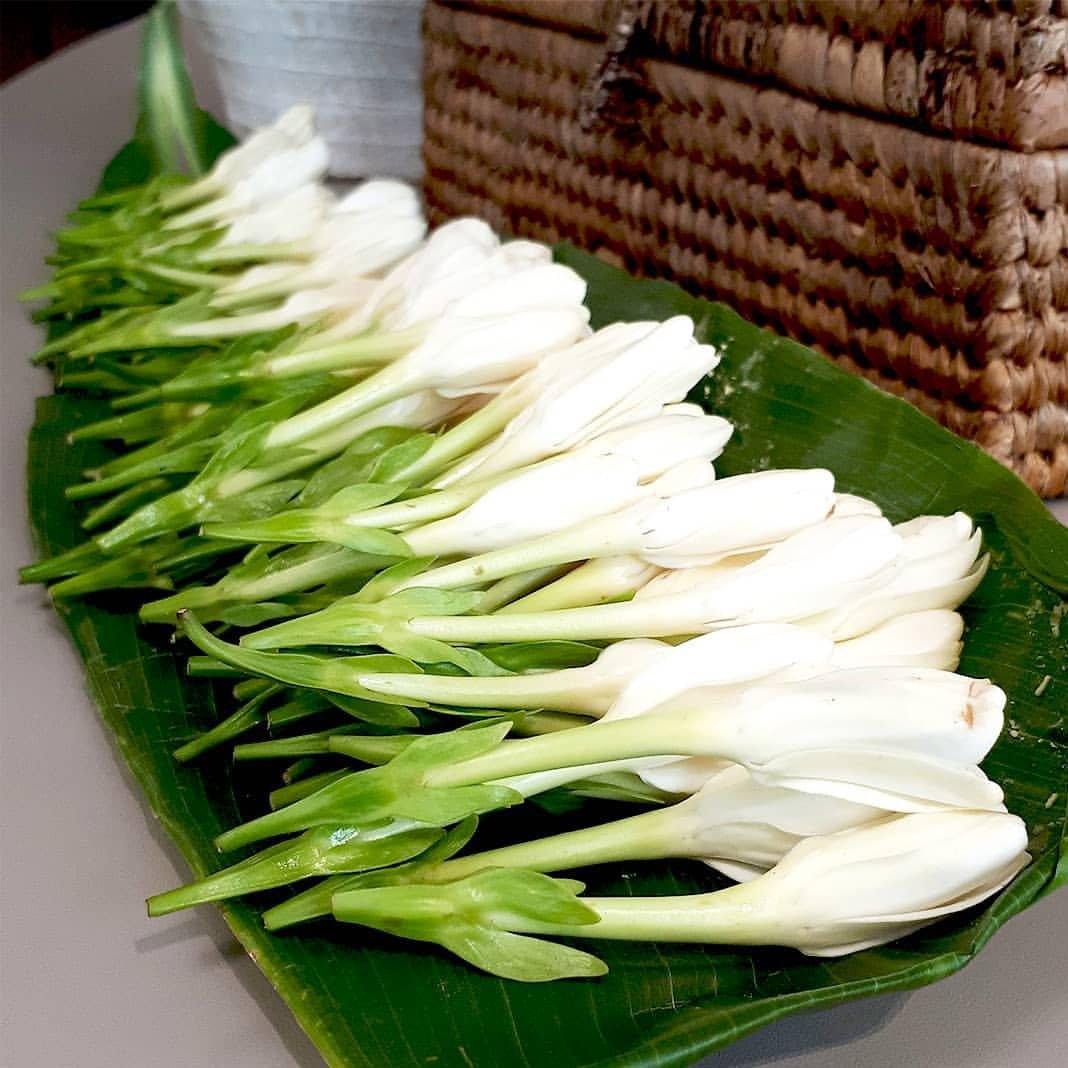 MONOI TAHITI – Natural Deodorant - Plastic Free - Aluminum-Free - 3.2 oz - Trending Wellness Store