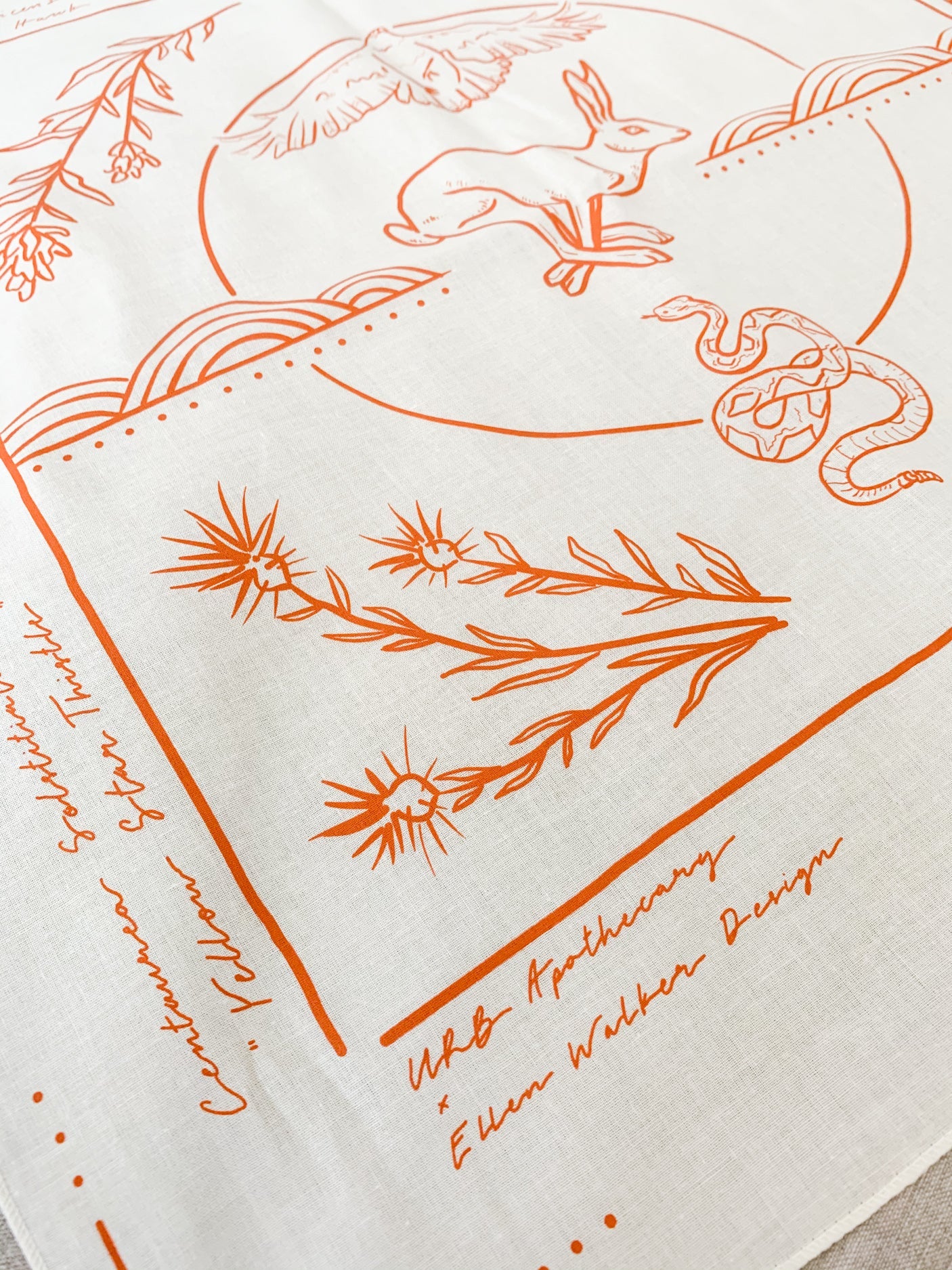 Field Guide Collaborative Bandana - Trending Wellness Store