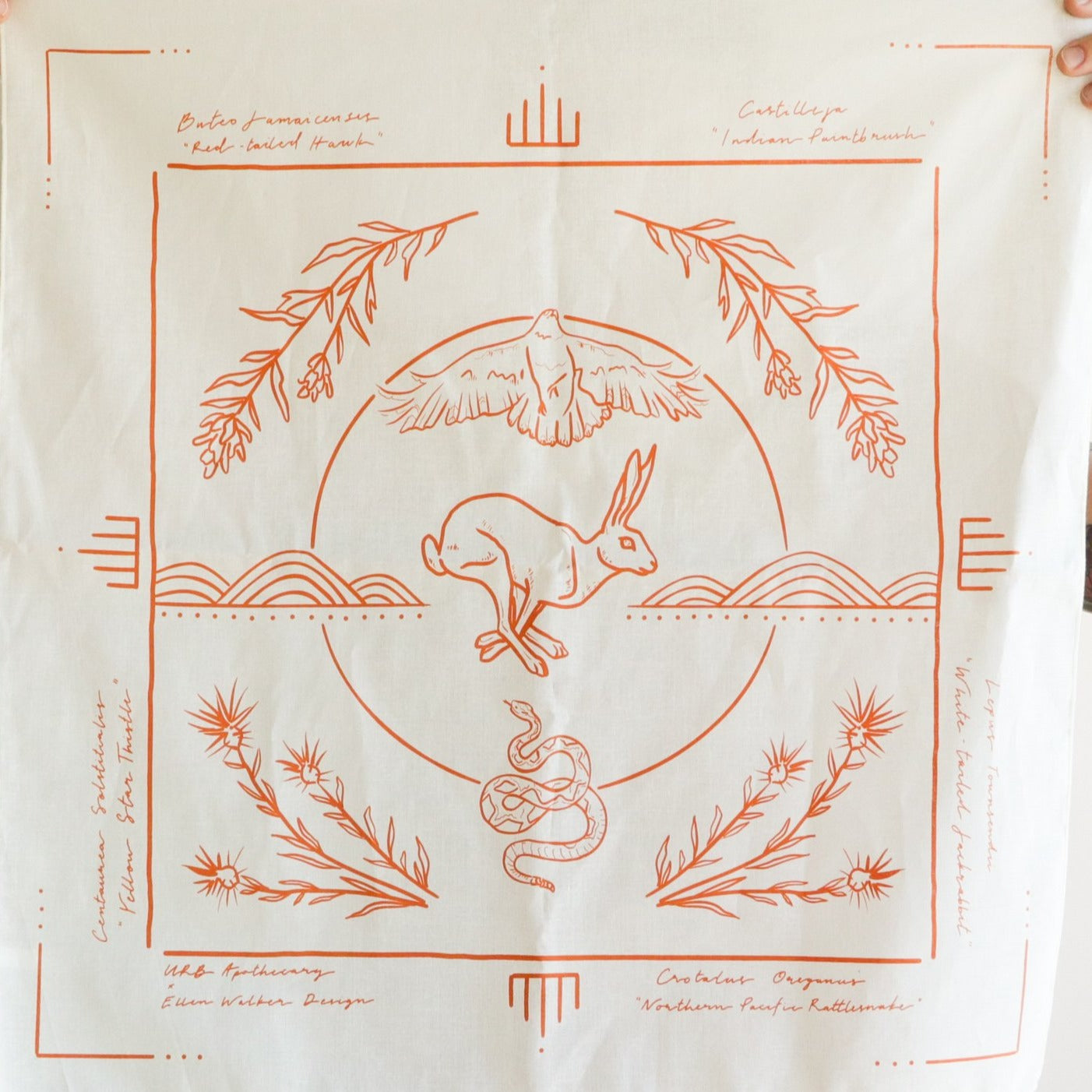 Field Guide Collaborative Bandana - Trending Wellness Store