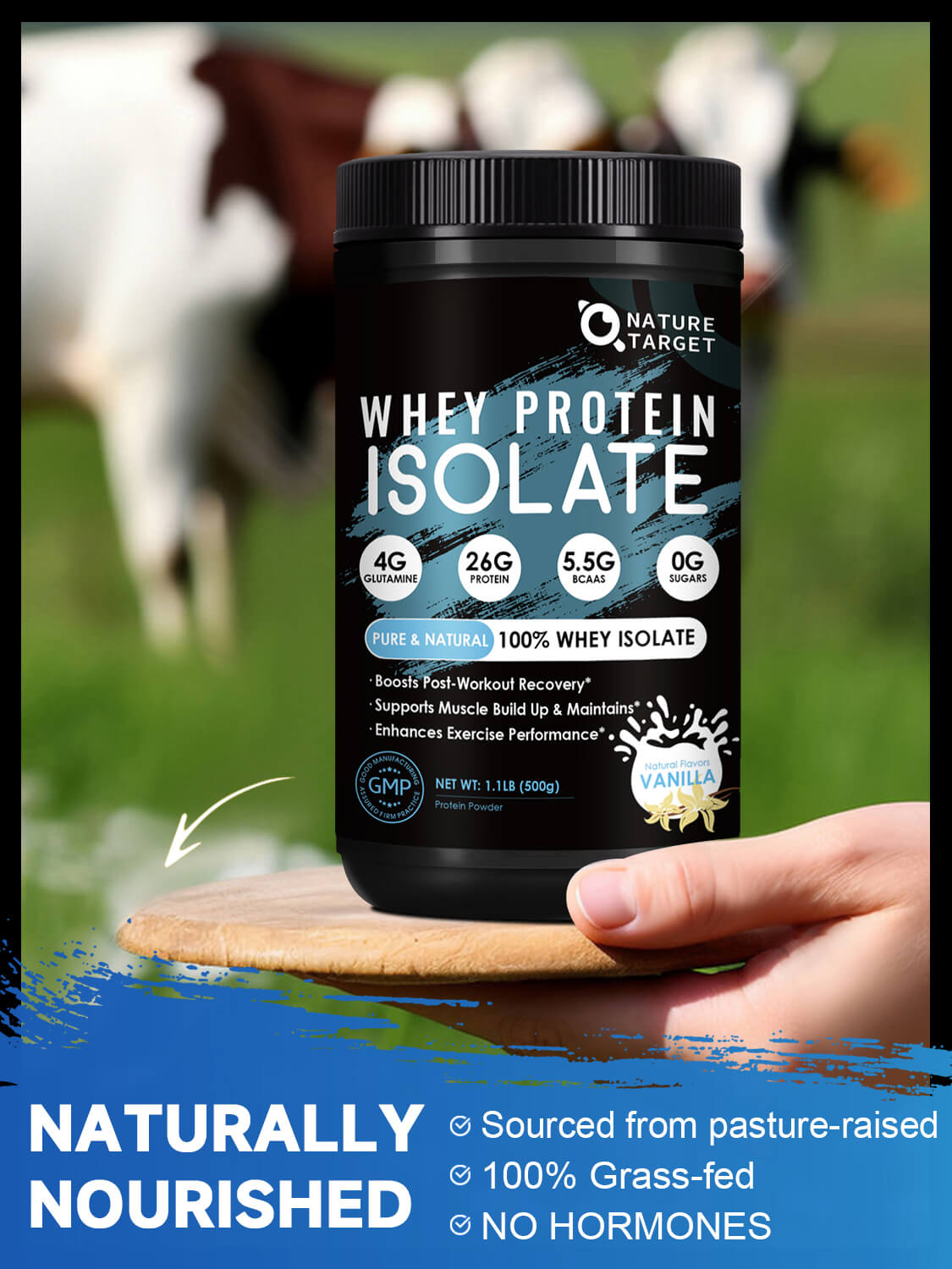 Vanilla Protein Powder, Whey Protein Isolate, 26G Protein/Serving, 1.1LB - Trending Wellness Store
