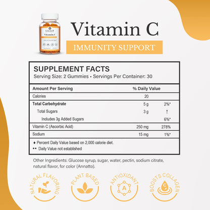 Halal Adult Immunity Booster Bundle – Multivitamin, Vitamin C, and Fish Oil - Trending Wellness Store